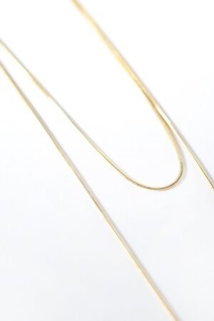 Ava Snake Chain Necklace (39 / 51 cm)